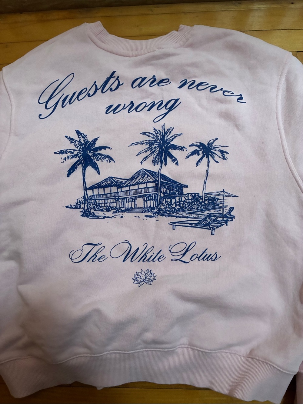 Zara Pink Crewneck Sweater with Blue Embroidered Logo